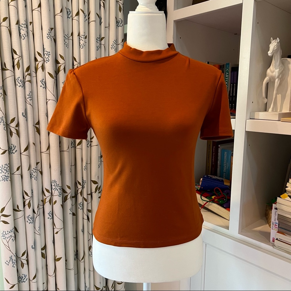 AA raised neck top